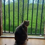 D'hôtes Imago Sainte-Eulalie (Auvergne)