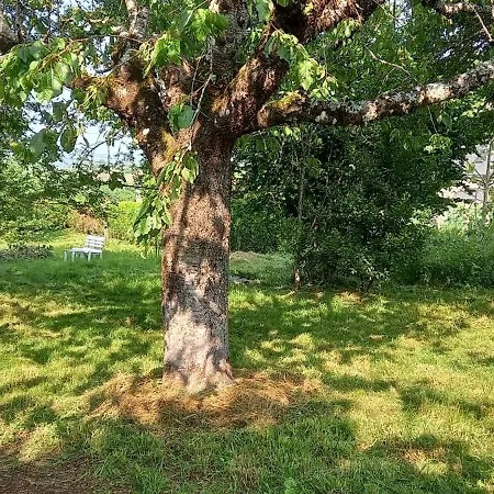 منزل للإقامة D'hotes Imago