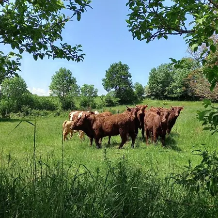 D'hotes Imago Sainte-Eulalie (Auvergne)