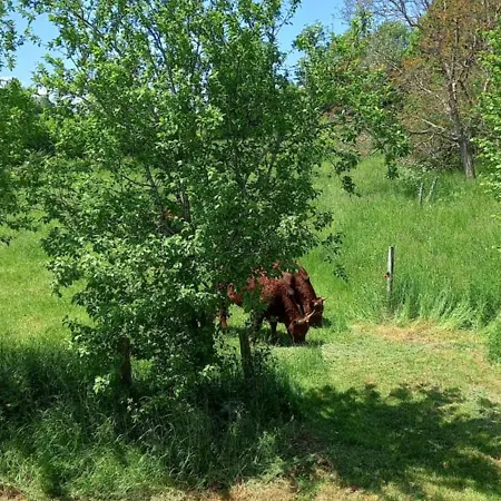 منزل للإقامة D'hotes Imago Sainte-Eulalie (Auvergne)