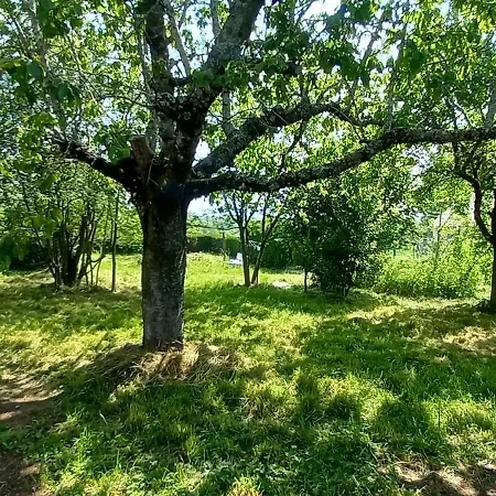 منزل للإقامة D'hotes Imago